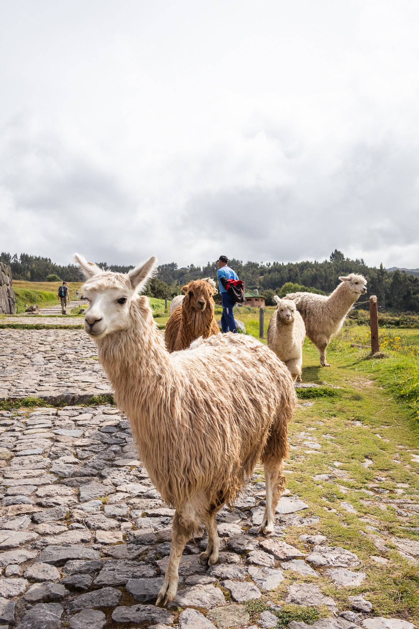 Cusco, Peru